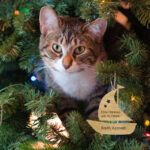 Ξύλινo Στολίδι Παππούς-Γιαγιά