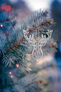 Plexiglass Στολίδια - Animals set of 4